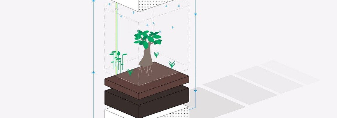 Обложка: Google создала управляемый голосом террариум, который показывает погоду в разных точках мира