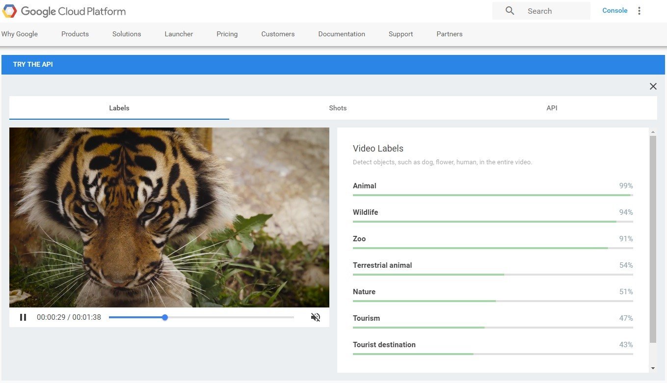 Google запускает Video Intelligence API - интерфейс для распознавания образов на видео_2
