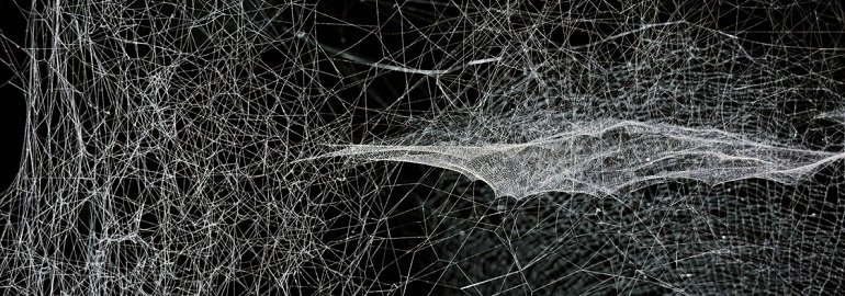 Обложка: Исследователи представили альтернативу традиционным нейронным сетям