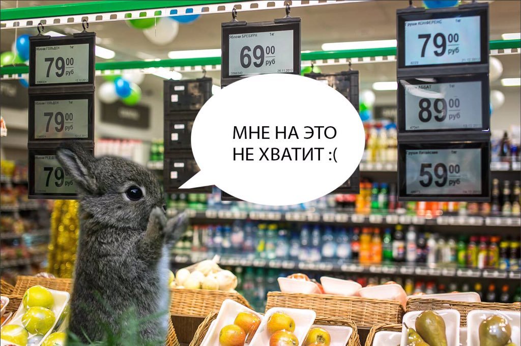 Пошаговый гайд. Как разработчику составить крутое резюме, если мало опыта_26