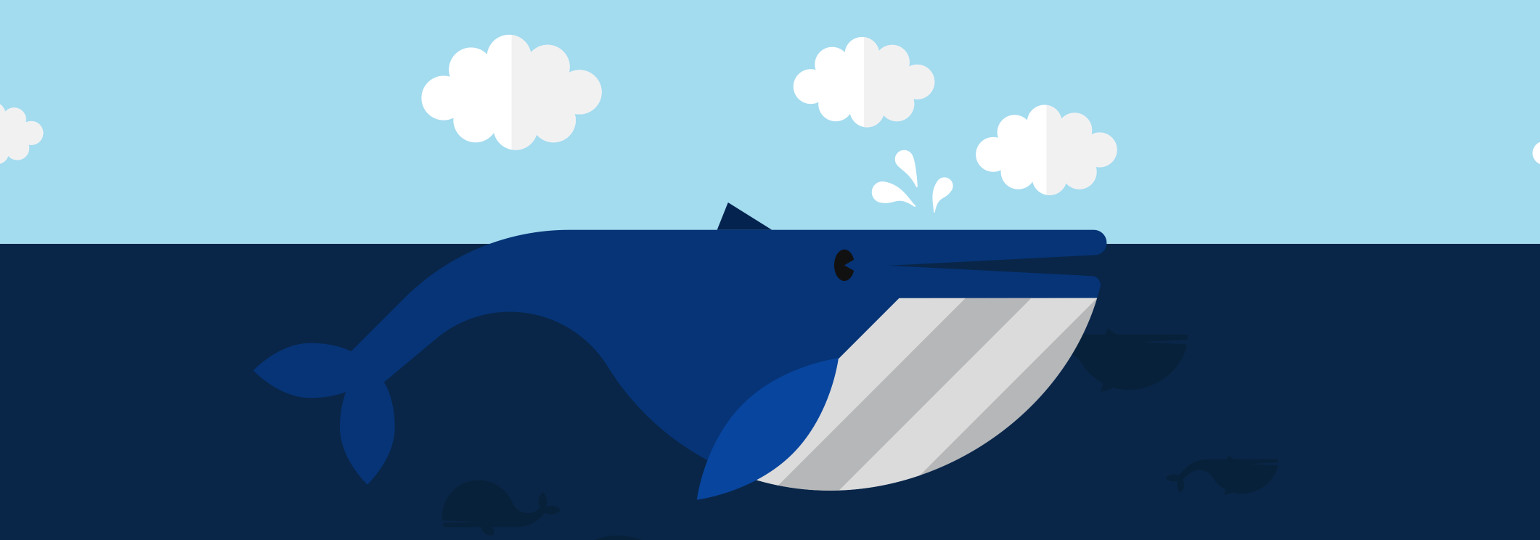 Обложка: Основные инструкции Docker