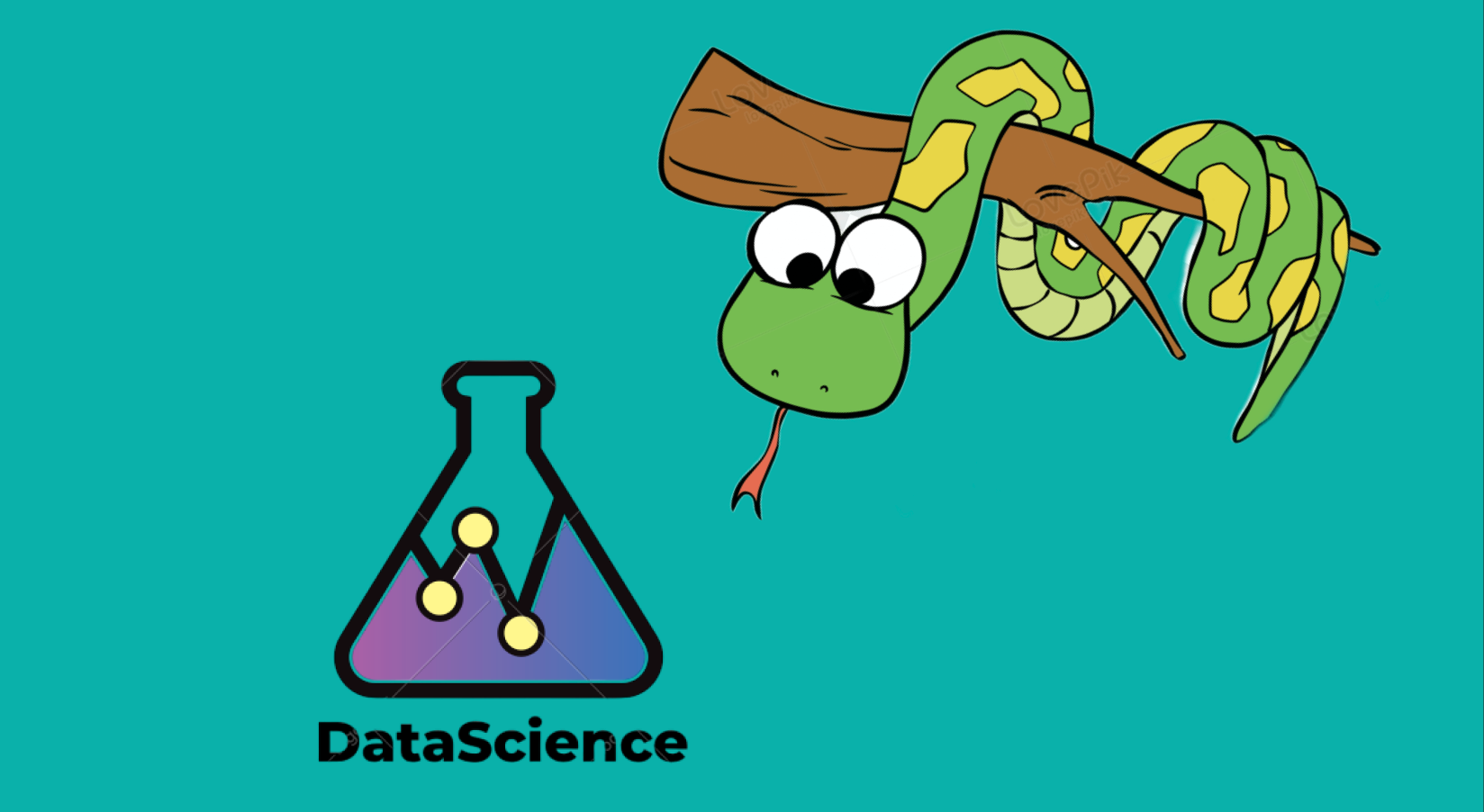 Обложка: Python в Data Science: топовые библиотеки и фреймворки, которые будут популярны в 2025