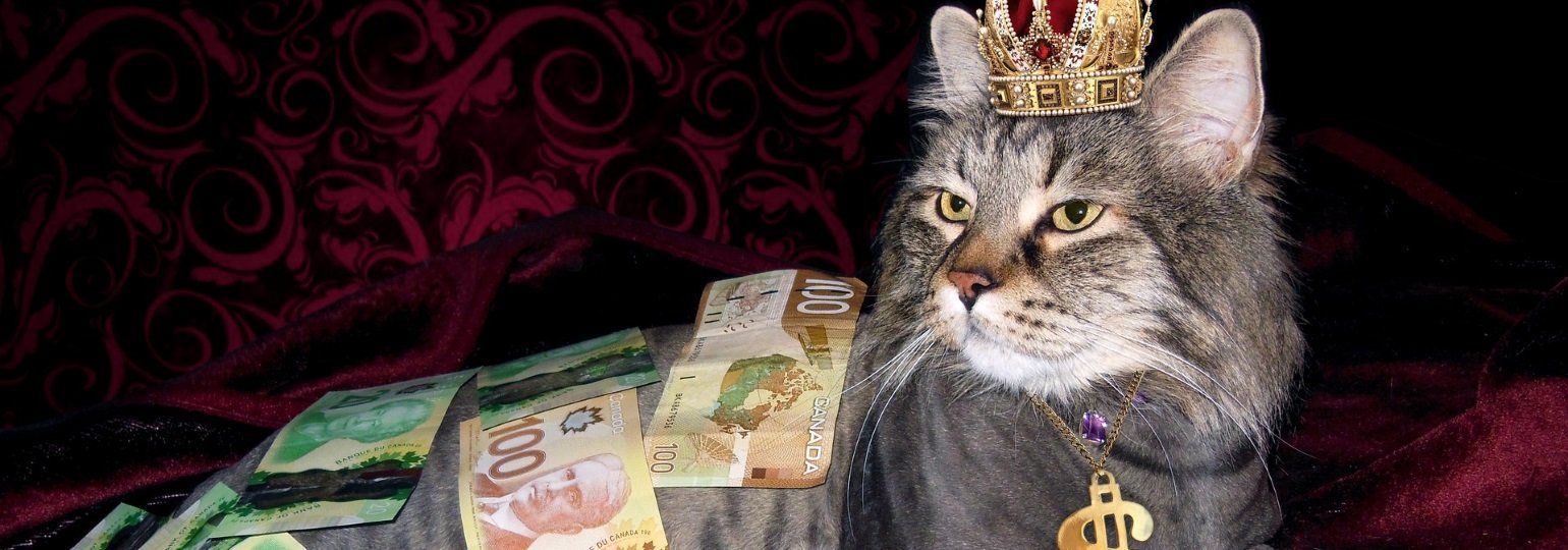 Обложка: ФРИИ: россияне могут зарабатывать на продаже своих данных до 60 тысяч рублей в год