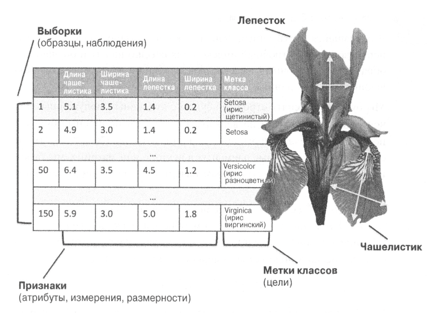 Книги о машинном обучении для новичков_14