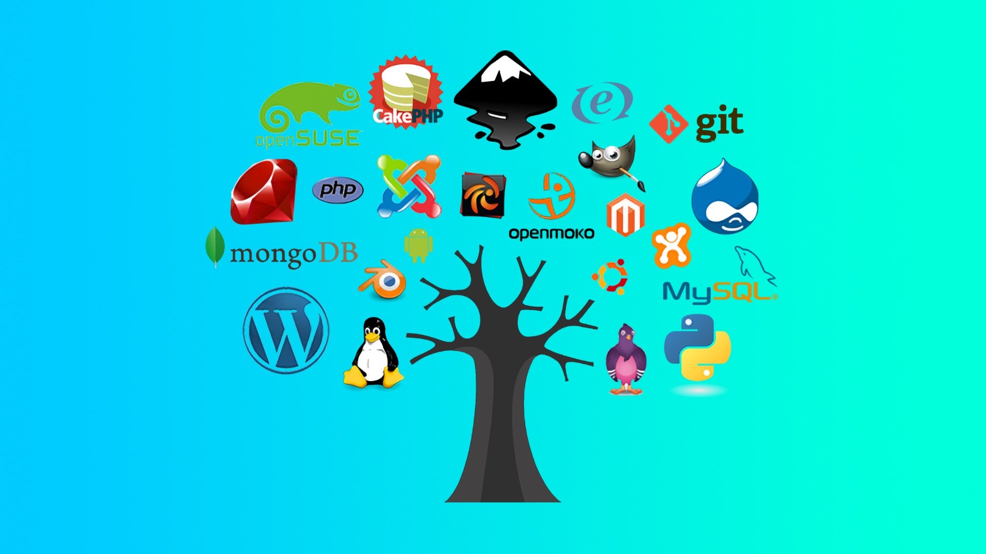 Обложка: Ученые из Гарварда оценили все open-source проекты в $8,8 трлн
