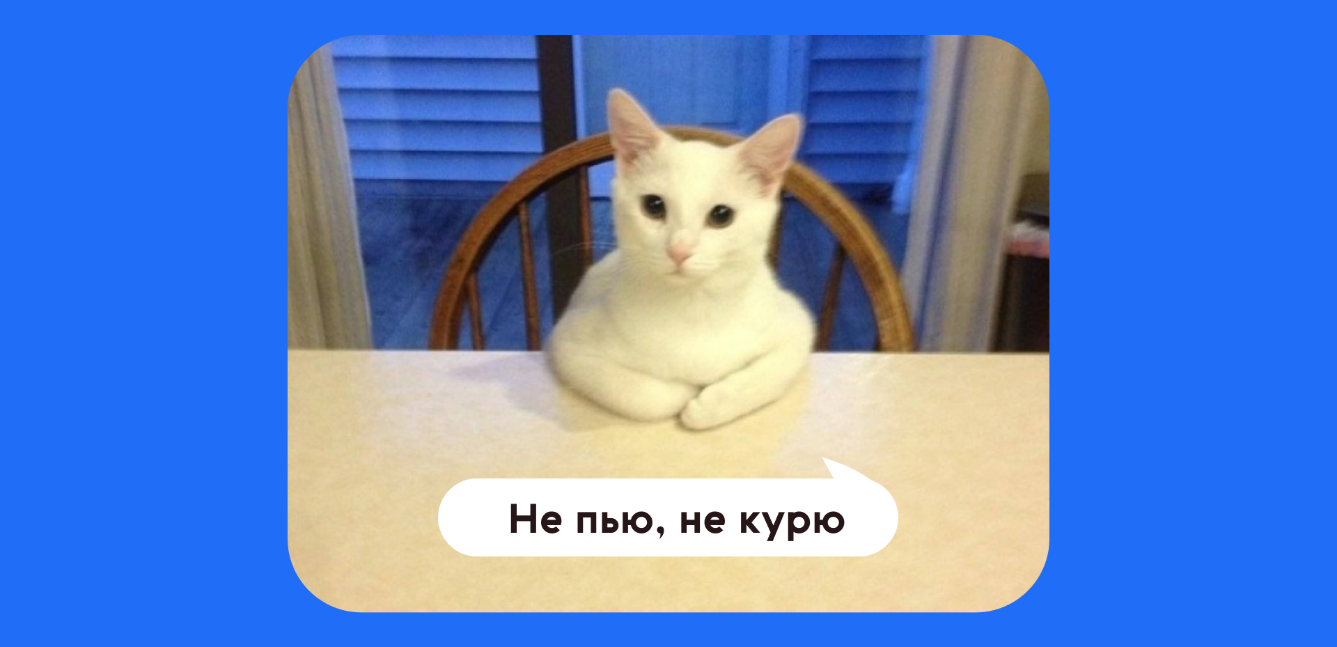 Увеличиваем конверсию в собеседования бесплатно, онлайн, без регистрации_64