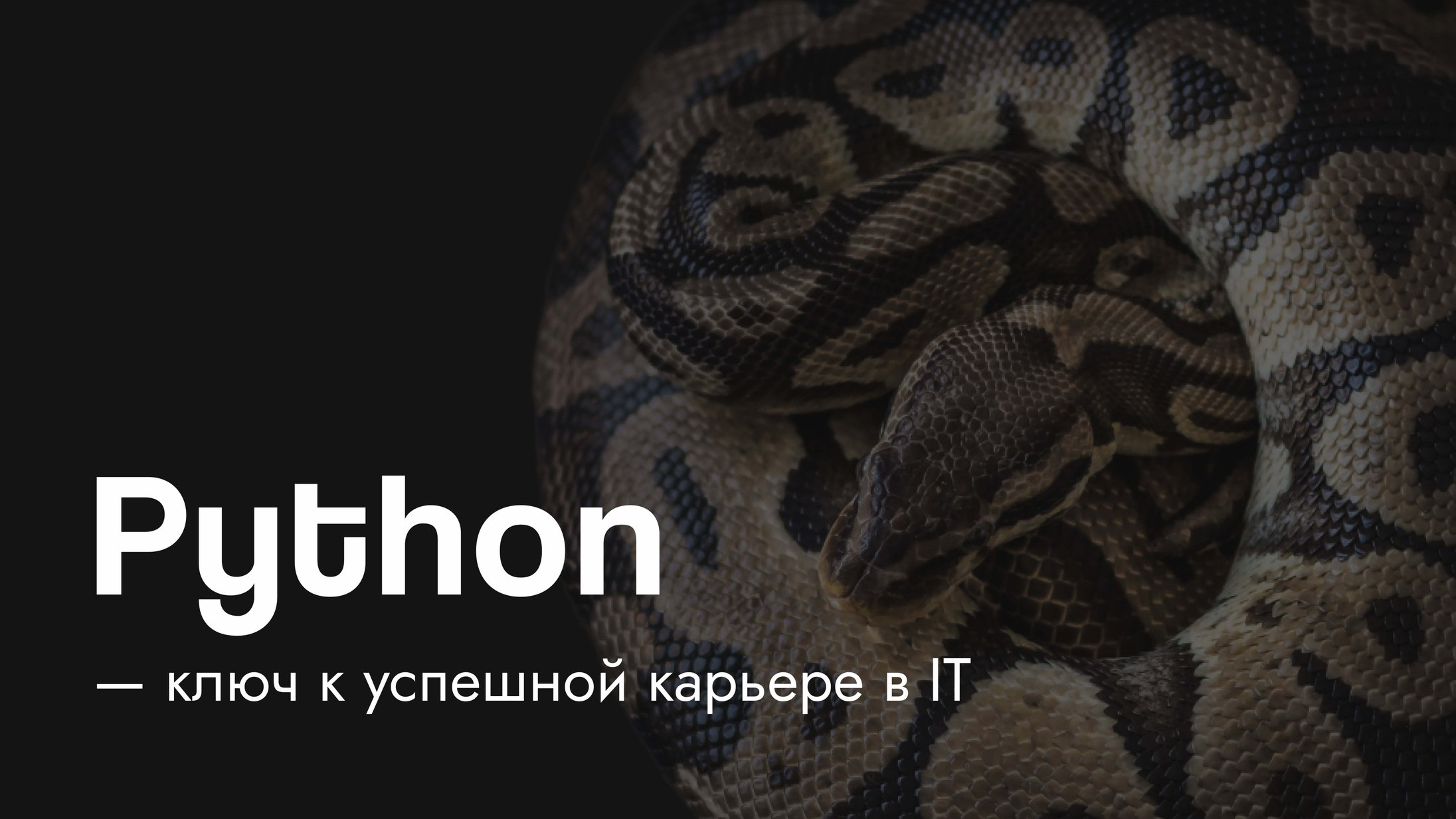 Обложка: Преимущества Python – ключ к успешной карьере в IT