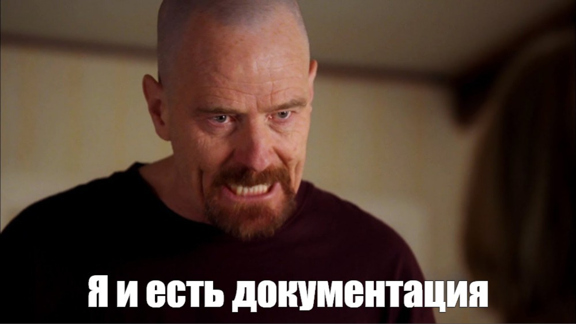 Обложка: «Ты зачем их сюда притащил?», или 11 заповедей системного аналитика