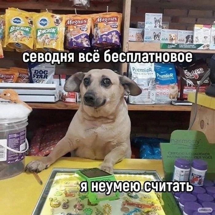 Почему всё технологическое коммьюнити обсуждает DeepSeek: революция за копейки или новый ИИ-пузырь?_21