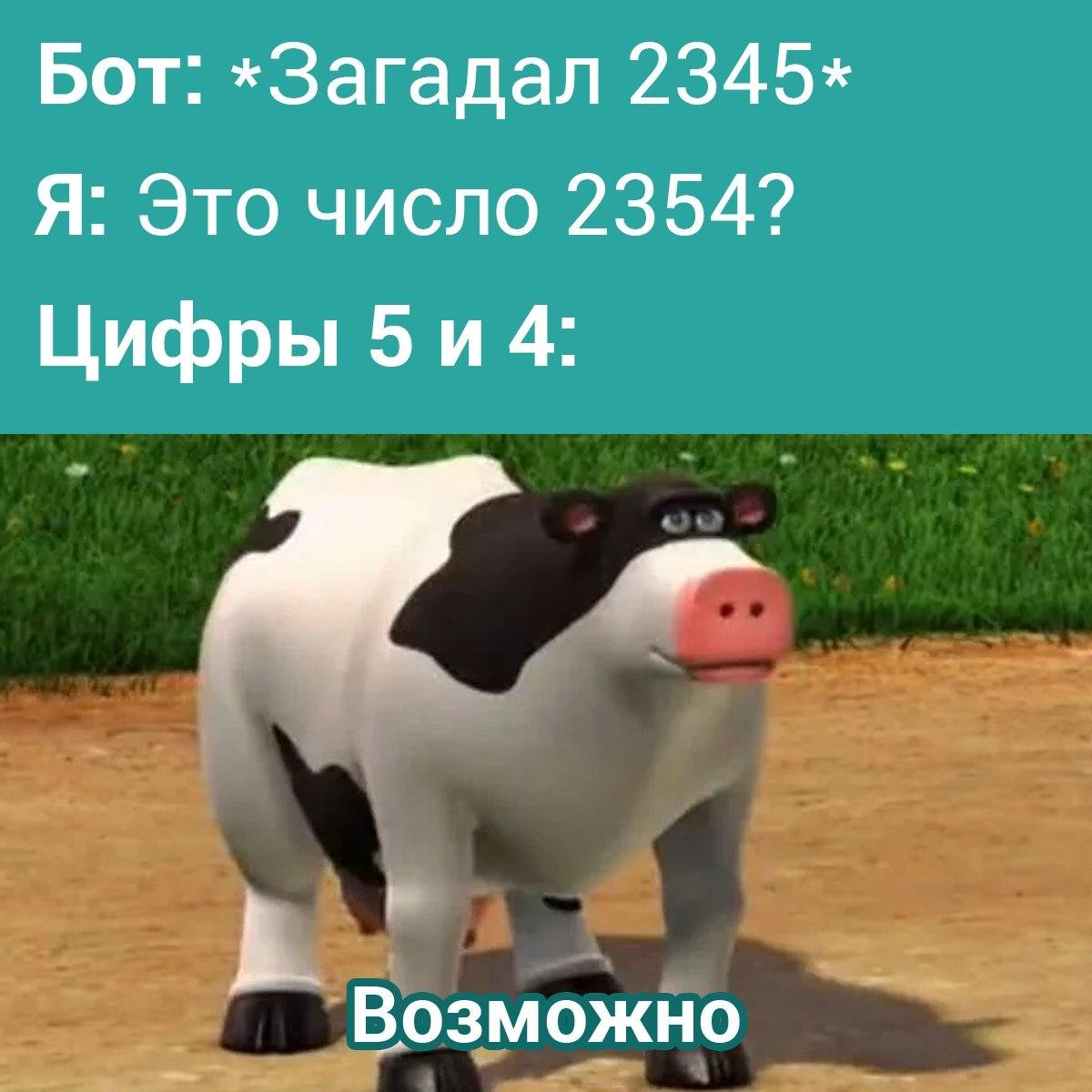 Tproger Changelog: как работать, если сам себе всё ломаешь?_61