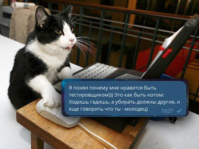 Вспоминаем 2024 в мемах: над чем мы смеялись в этом году_6