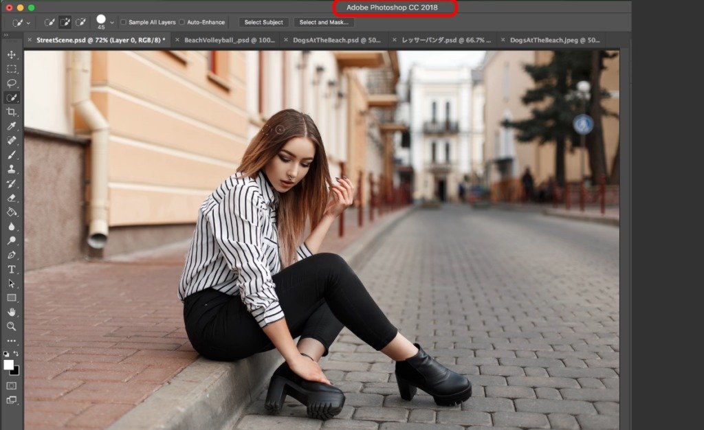 В новой версии Adobe Photoshop можно будет выделять объекты одним кликом_4