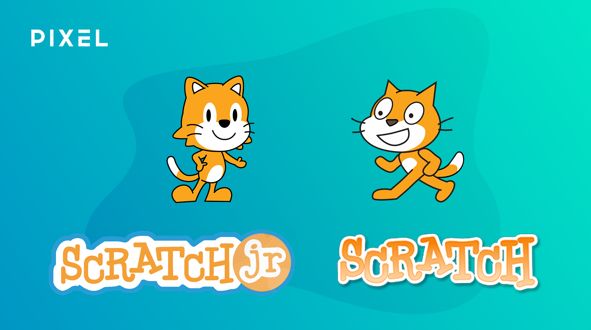 Обложка: Scratch или Scratch Junior: что выбрать для первого знакомства ребенка с программированием