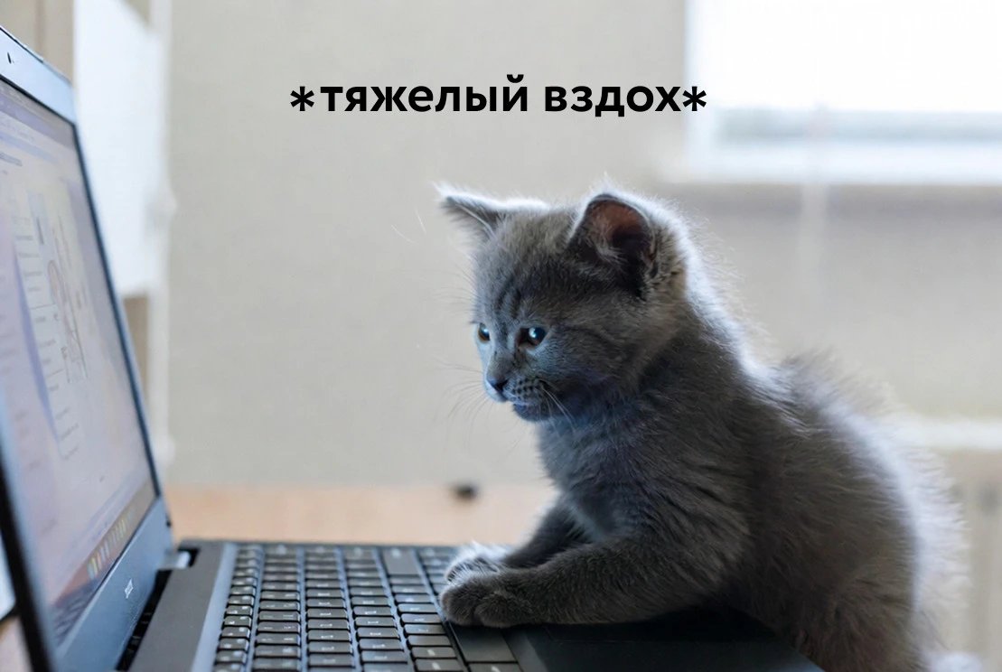 Обложка: Ты не «все пропустил», ты — кризис-менеджер. Почему закрыть сессию в дедлайн считается реальным скиллом