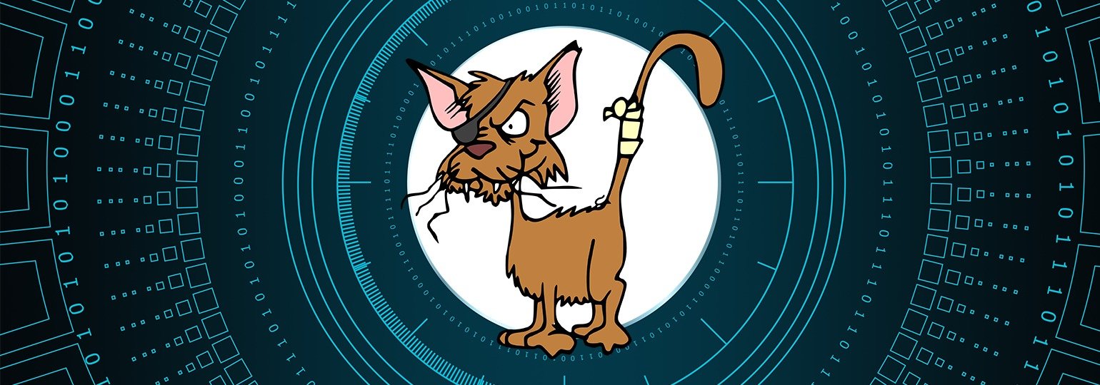 Обложка: В CryptoKitties найдена уязвимость для ежечасного получения котиков