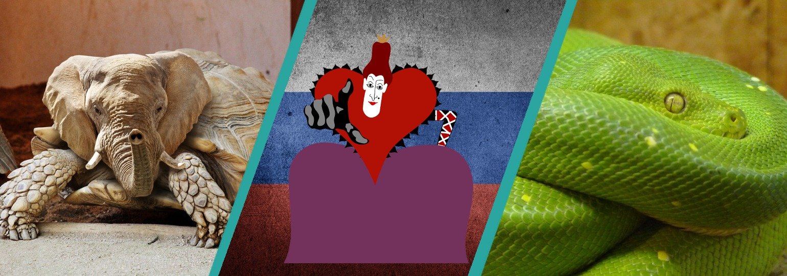 Обложка: Аргументы и функции, 25 января