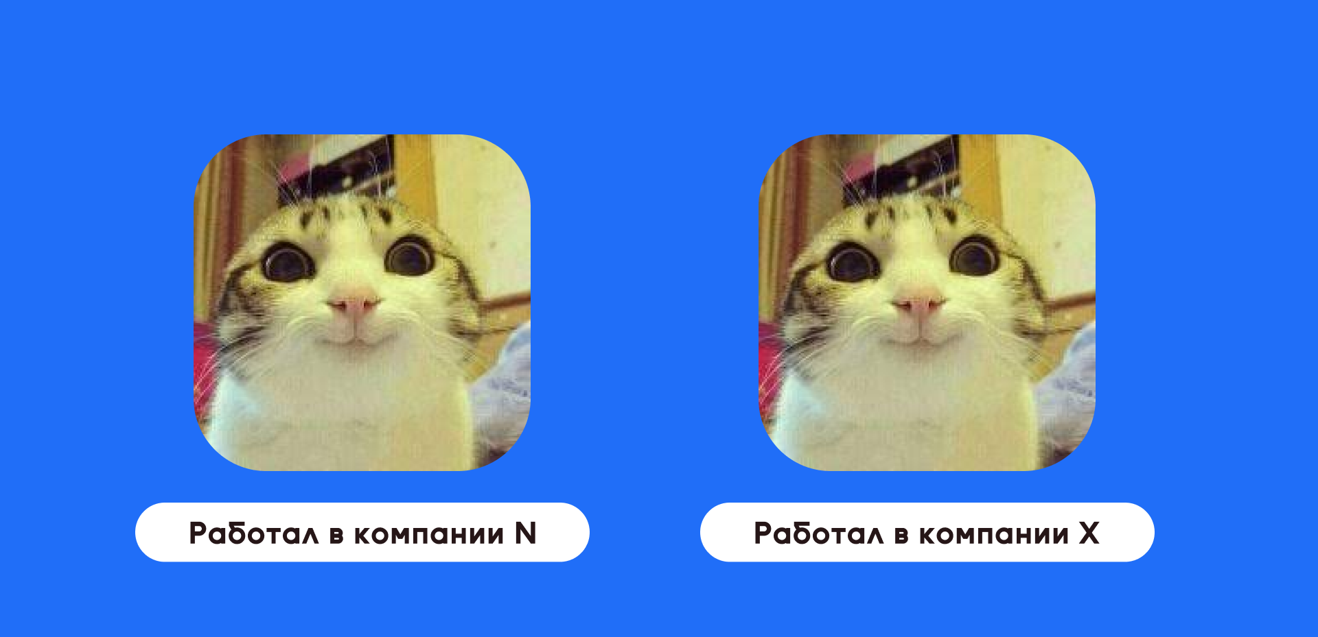 Увеличиваем конверсию в собеседования бесплатно, онлайн, без регистрации_51