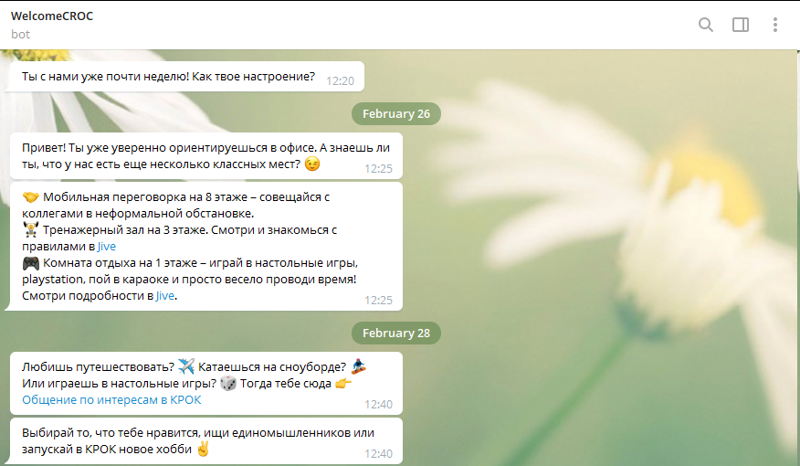 Оптимизация работы в техподдержке: чат-боты и автоматическая выдача доступов_19
