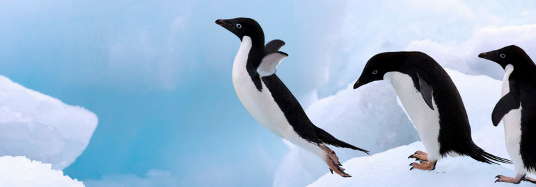 Обложка: Как Linux помог мне стать продвинутым пользователем ПК