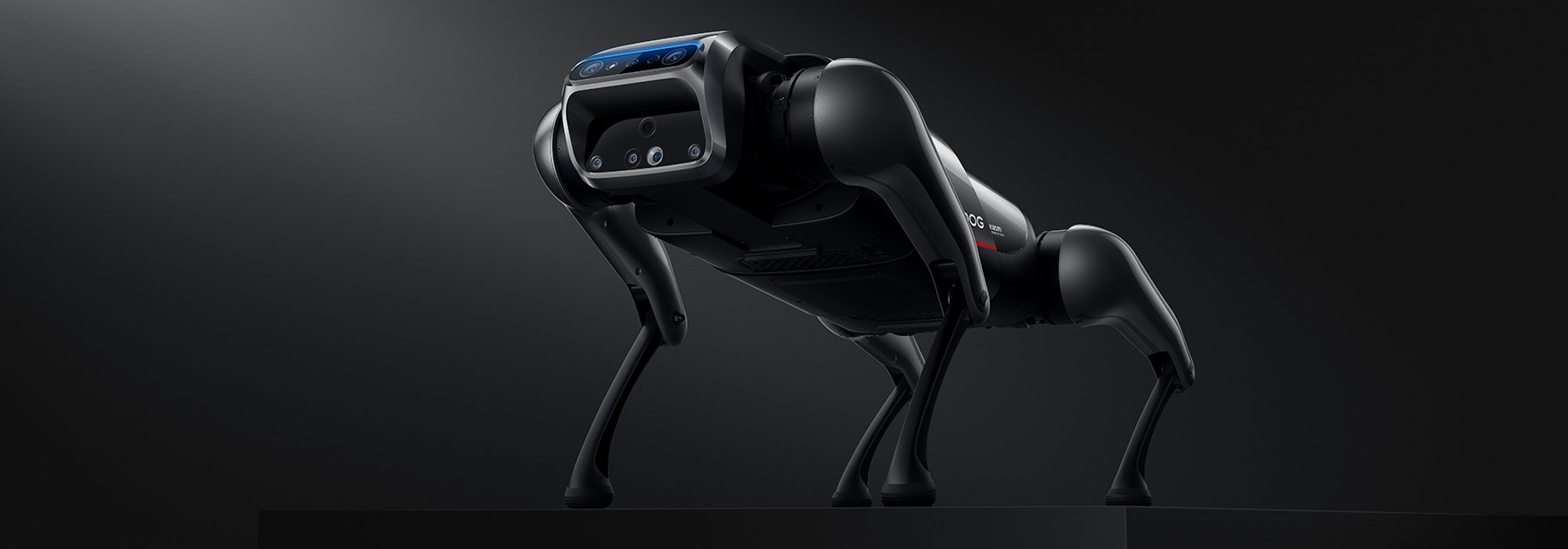 Обложка: Xiaomi представила робопса CyberDog. Это как Spot от Boston Dynamics, но в 48 раз дешевле