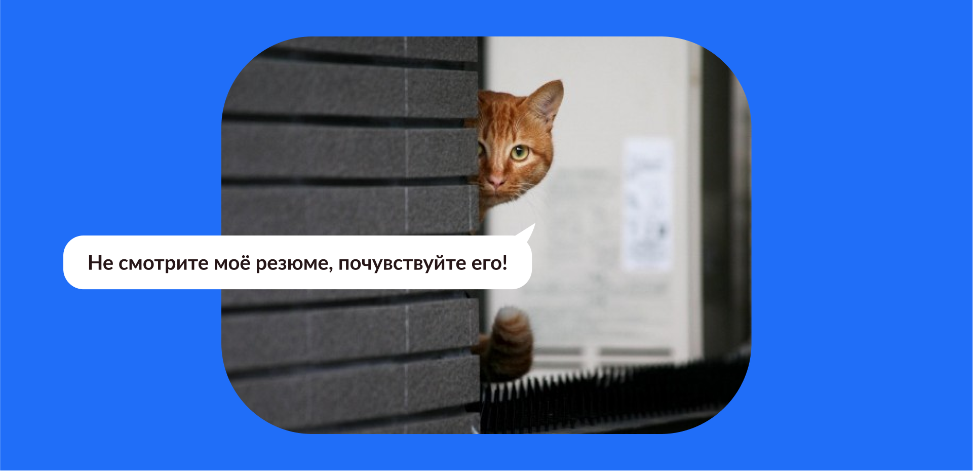 Увеличиваем конверсию в собеседования бесплатно, онлайн, без регистрации_45
