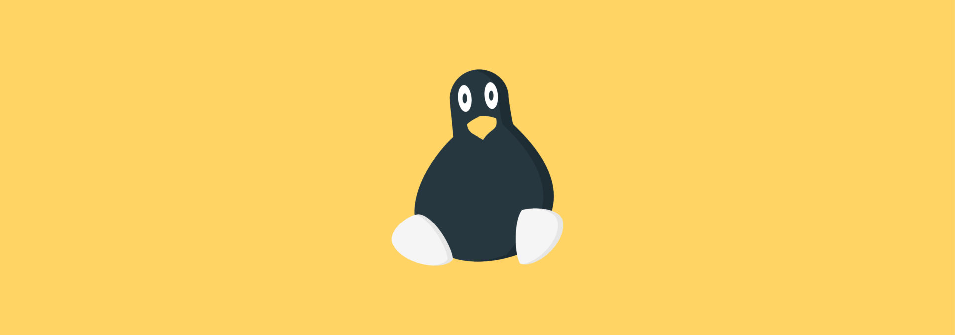 Обложка поста Революционная ОС: тест на знание Linux