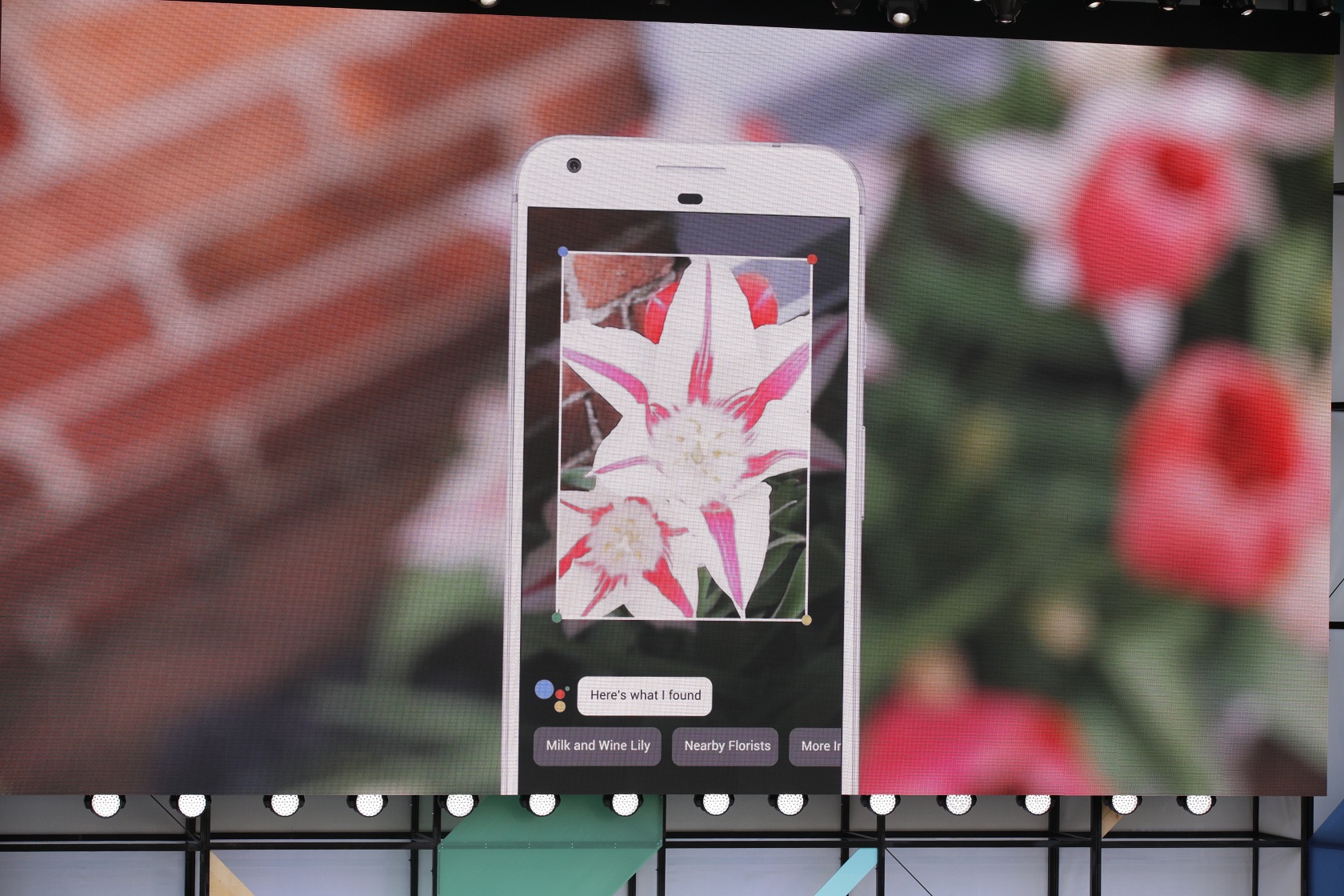 Google представила систему для «умного» распознавания изображений Lens 1