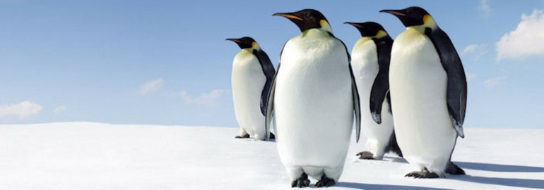 Обложка: Состоялся релиз ядра Linux 4.11
