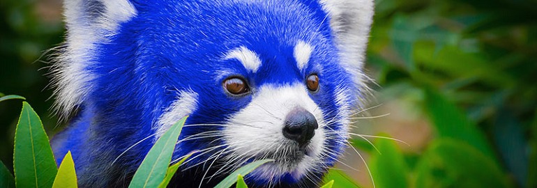 Обложка: Mozilla выпустила бета-версию Firefox 57 на новом движке