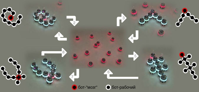 Учёные представили роботов, способных к самоорганизации 1