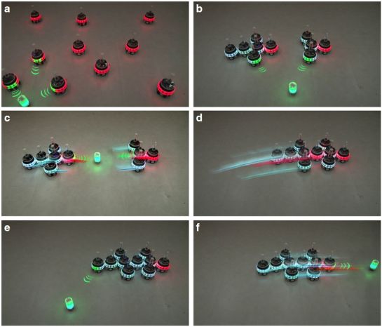 Учёные представили роботов, способных к самоорганизации 2