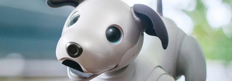 Обложка: Sony представила новую модель робособаки aibo