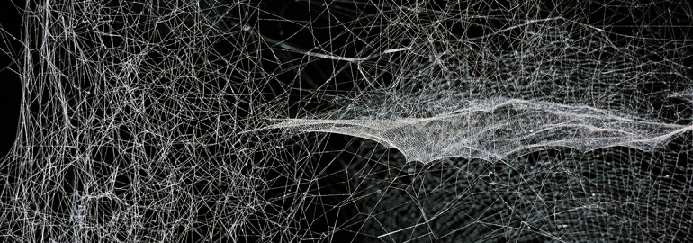 Обложка: Исследователи представили альтернативу традиционным нейронным сетям