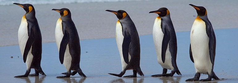 Обложка: Состоялся релиз ядра Linux 4.14