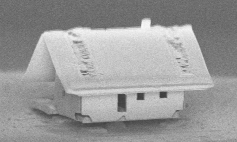 Французские нанотехнологи построили домик микроскопического размера 1