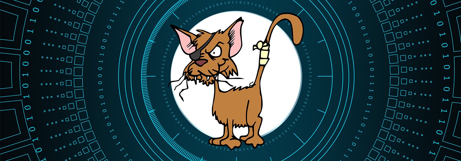 Обложка: В CryptoKitties найдена уязвимость для ежечасного получения котиков