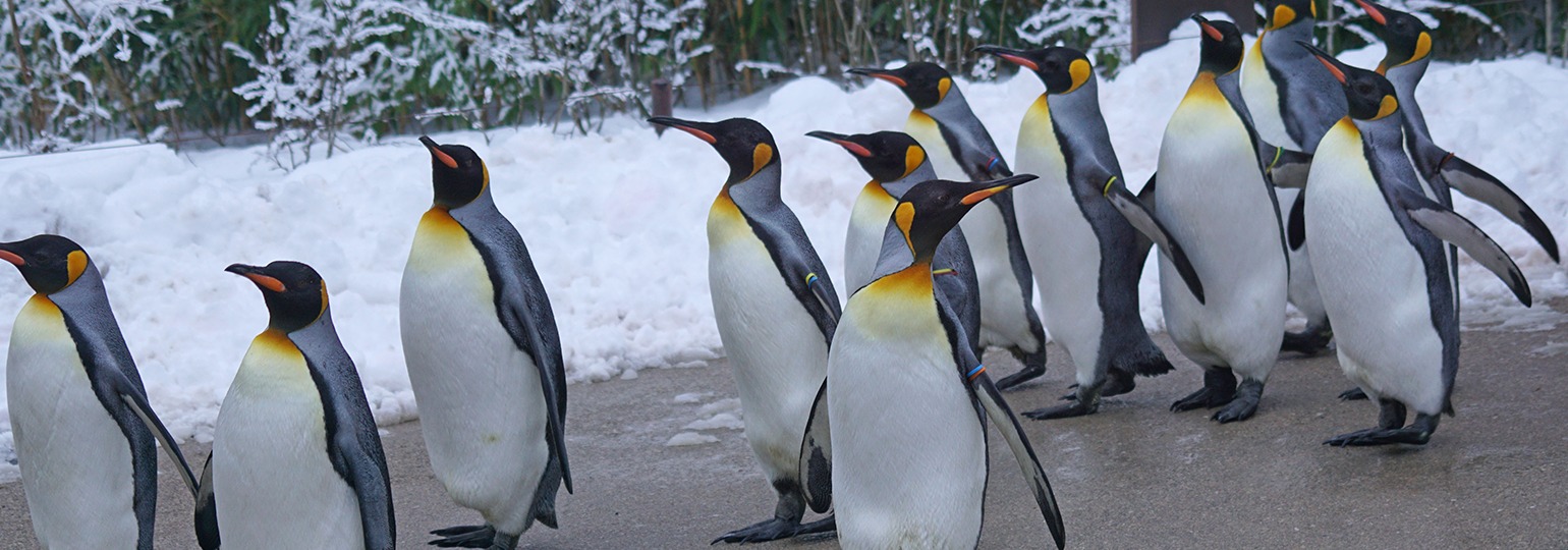 Linux Code of Conduct