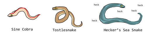 «Хорошенький малютка питон» и «змея-блондинка»: нейросеть придумала новые названия видов змей 1