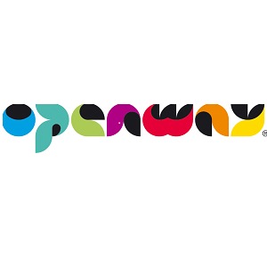 Логотип компании OpenWay Group