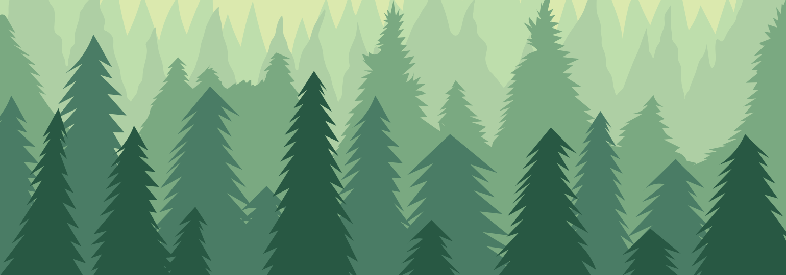 Обложка поста Реализация и разбор алгоритма «случайный лес» на Python