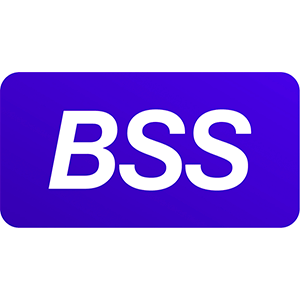 Логотип компании Banks Soft Systems