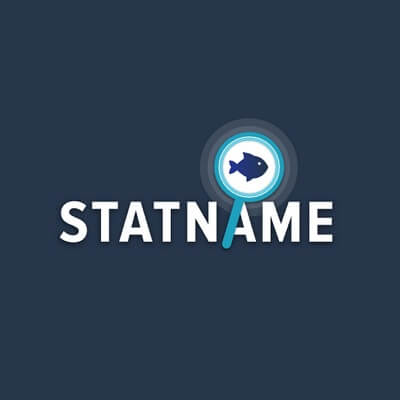 Логотип компании Statname