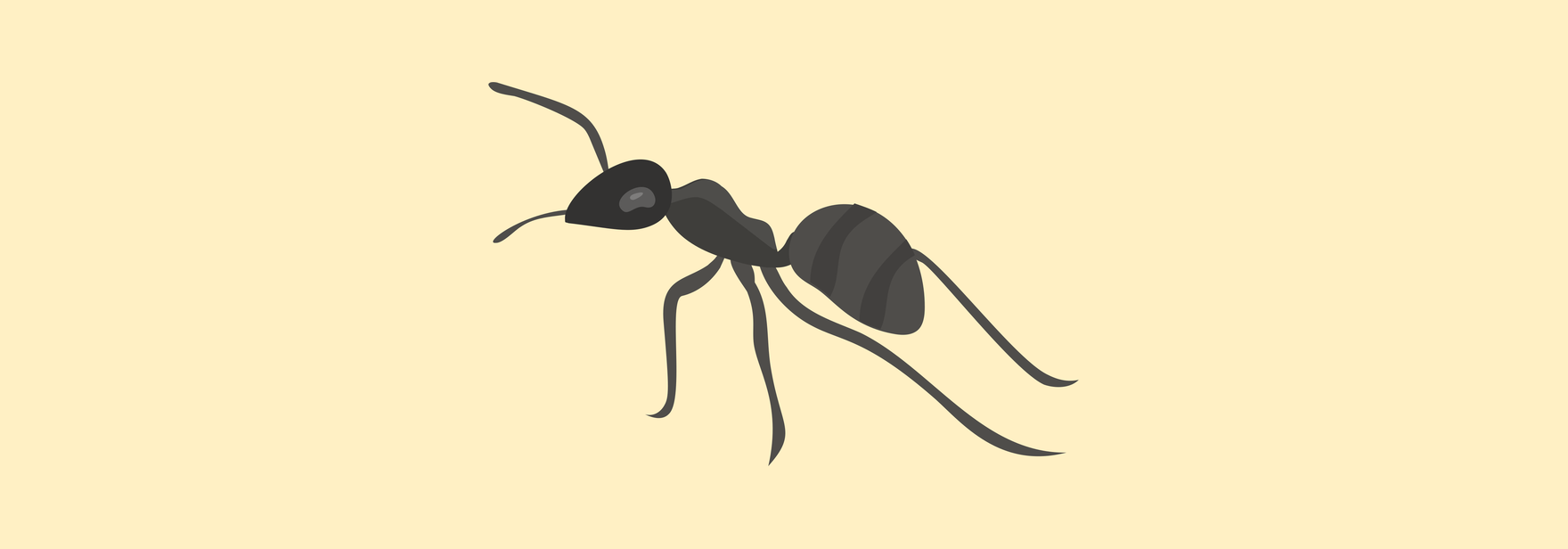 Как муравьи решают проблемы коммивояжёров