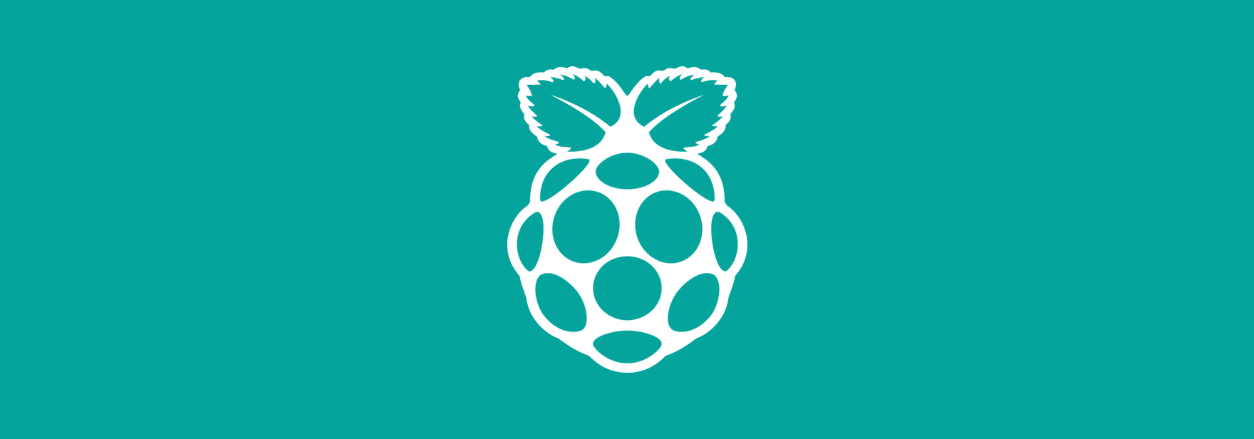 Обложка: Проект на Raspberry Pi — полноценный ноутбук в компьютерной мышке