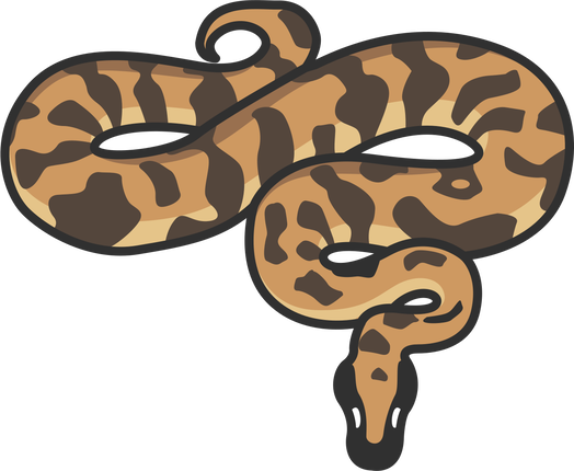 Обложка: 10 полезных Python библиотек, о которых вы не слышали
