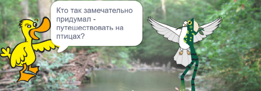 Обложка: Делаем первый ИТ-проект на Scratch