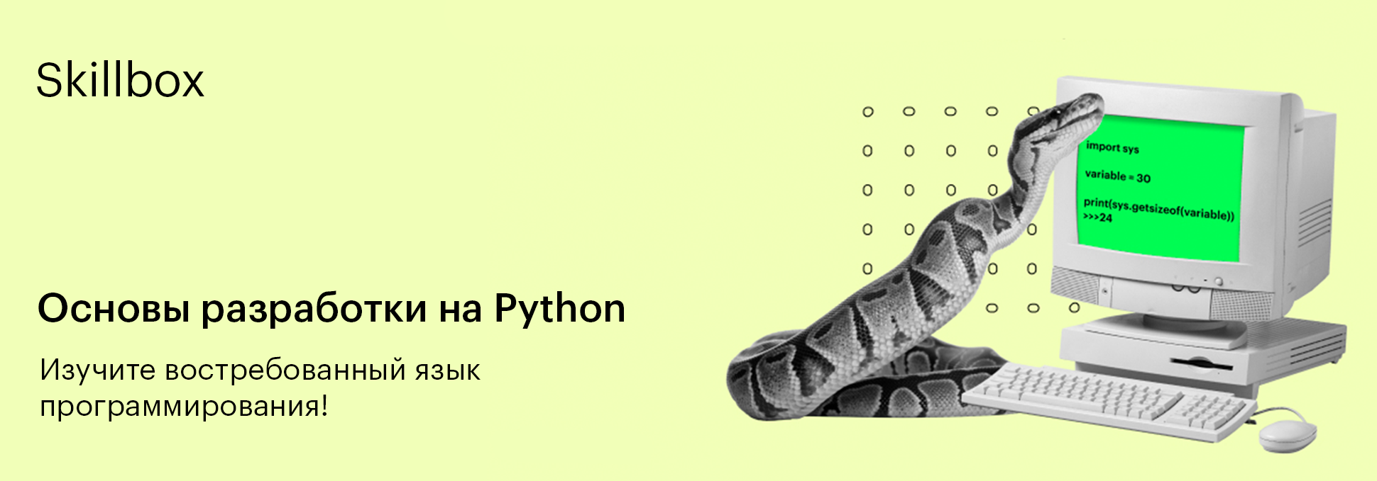 Обложка курса Интенсив «Погружение в мир разработки на Python»
