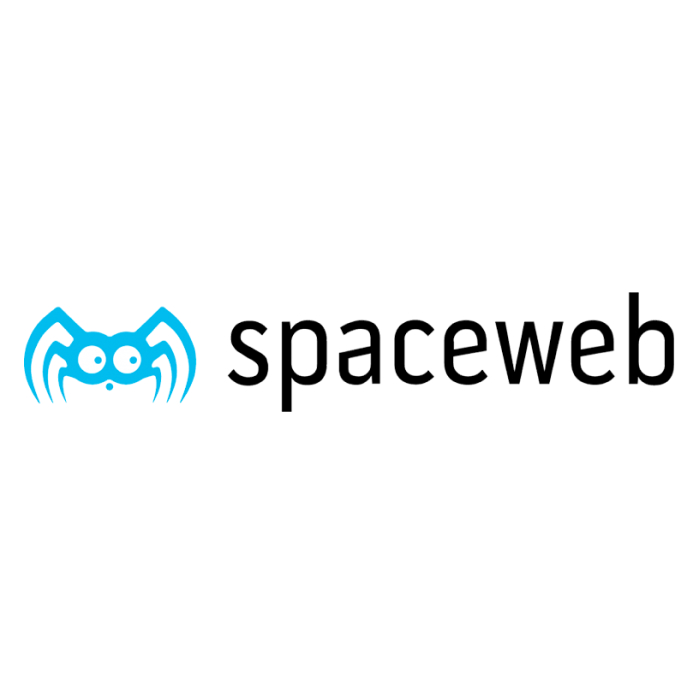 Логотип компании SpaceWeb