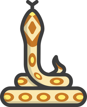 Обложка: Почему Python такой популярный