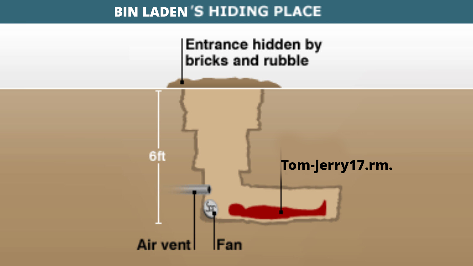 Как скачать «Том и Джерри» с компьютера Усамы бен Ладена через сайт ЦРУ